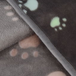 杭州專業亞馬遜產品圖片拍攝與制作服務 紡織品與寵物用品